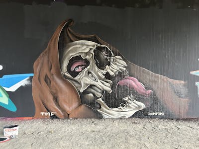 Grey and Brown Characters by shmri. This Graffiti is located in Leipzig, Germany and was created in 2023. This Graffiti can be described as Characters, Streetart and Wall of Fame.
