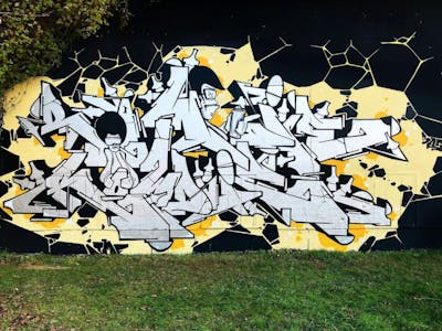 Chrome Stylewriting by Rowdy. This Graffiti is located in Germany and was created in 2020. This Graffiti can be described as Stylewriting, Characters and Special.