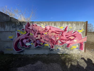 Coralle and Red Stylewriting by ORES24. This Graffiti is located in Stassfurt, Germany and was created in 2023.