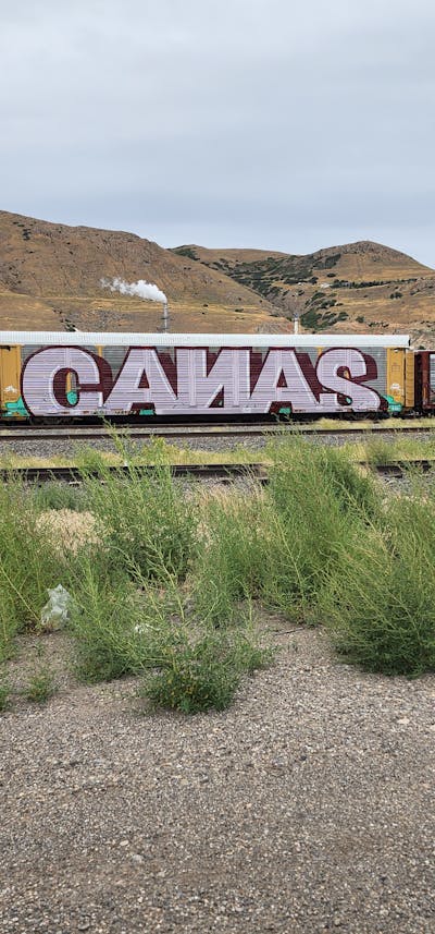 Coralle Stylewriting by Canas. This Graffiti is located in United States and was created in 2023. This Graffiti can be described as Stylewriting, Trains, Freights and Wholecars.