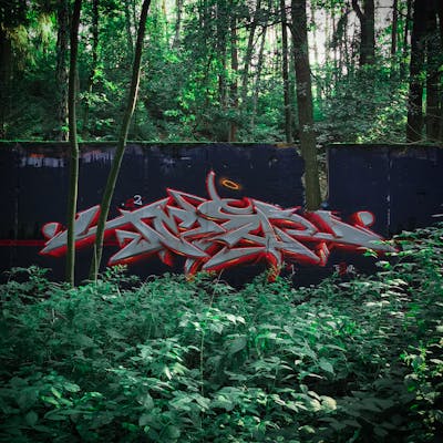 Red and Grey Stylewriting by tesar.one. This Graffiti is located in Weiden, Germany and was created in 2022. This Graffiti can be described as Stylewriting and Abandoned.