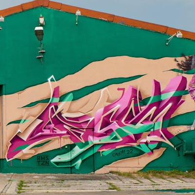 Coralle and Light Green and Beige Murals by casom. This Graffiti is located in Radebeul, Germany and was created in 2022. This Graffiti can be described as Murals, Special, Stylewriting and 3D.