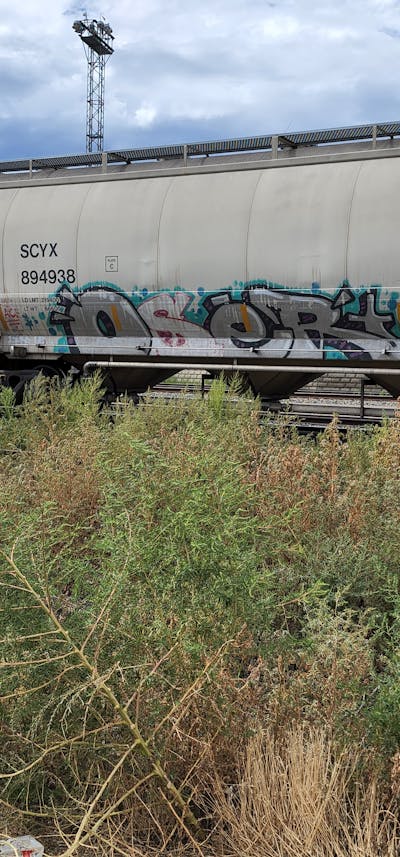 Chrome and Black Stylewriting by Oser. This Graffiti is located in United States and was created in 2022. This Graffiti can be described as Stylewriting, Trains and Freights.