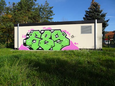 Light Green and Coralle Stylewriting by 689 and 689ers. This Graffiti is located in coswig, Germany and was created in 2022. This Graffiti can be described as Stylewriting and Street Bombing.