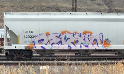 Coralle and Violet Stylewriting by Rekto. This Graffiti is located in United States and was created in 2023. This Graffiti can be described as Stylewriting, Trains and Freights.