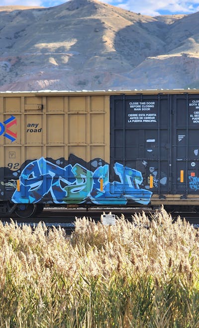 Blue and Light Blue Stylewriting by Stae2. This Graffiti is located in United States and was created in 2024. This Graffiti can be described as Stylewriting and Freights.