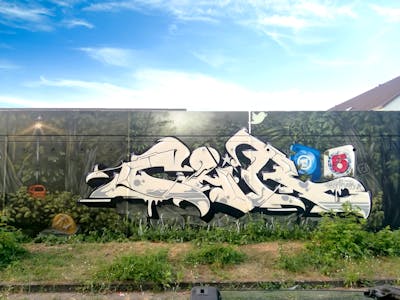 Green and White Characters by Aser and Chr15. This Graffiti is located in Wiesbaden, Germany and was created in 2022. This Graffiti can be described as Characters, Stylewriting and Murals.