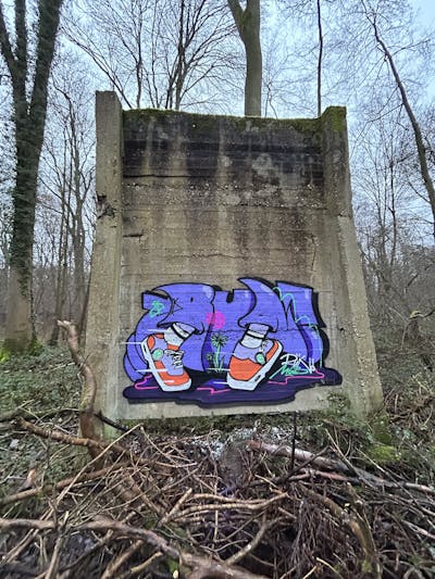 Violet and Colorful Stylewriting by radikalinski.84 and Run. This Graffiti is located in Germany and was created in 2023. This Graffiti can be described as Stylewriting, Characters, Throw Up and Abandoned.