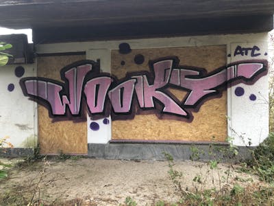 Coralle Abandoned by WOOKY. This Graffiti is located in Leipzig, Germany and was created in 2021. This Graffiti can be described as Abandoned and Stylewriting.