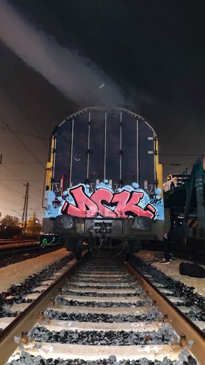 Coralle and Light Blue Stylewriting by DCK and ALL CAPS COLLECTIVE. This Graffiti is located in Hungary and was created in 2020. This Graffiti can be described as Stylewriting, Trains and Freights.