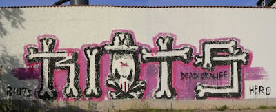 Coralle and Black Roll Up by Riots. This Graffiti is located in Leipzig, Germany and was created in 2006.