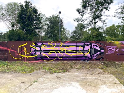 Colorful Special by urine. This Graffiti is located in Döbeln, Germany and was created in 2021. This Graffiti can be described as Special, Stylewriting, Characters and Handstyles.