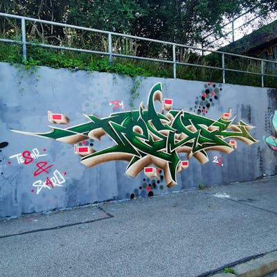 Green Stylewriting by tesar.one. This Graffiti is located in Regensburg, Germany and was created in 2022.