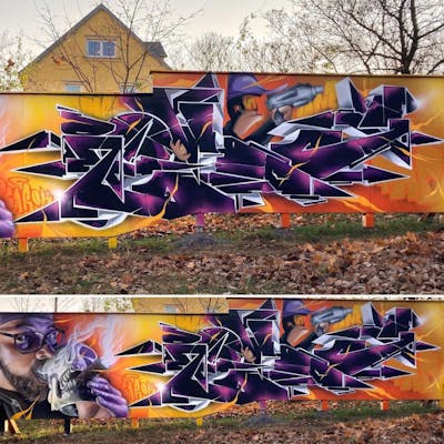 Colorful Stylewriting by Rowdy and Searok. This Graffiti is located in coswig, Germany and was created in 2021. This Graffiti can be described as Stylewriting, Characters, Wall of Fame and Special.