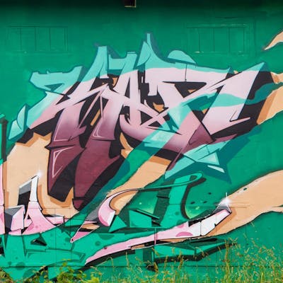 Beige and Light Green and Coralle Murals by yart. This Graffiti is located in Radebeul, Germany and was created in 2022. This Graffiti can be described as Murals, Special and Stylewriting.