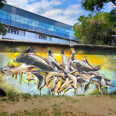 Colorful and Grey Stylewriting by Caer8th. This Graffiti is located in Prague, Czech Republic and was created in 2022. This Graffiti can be described as Stylewriting and Wall of Fame.