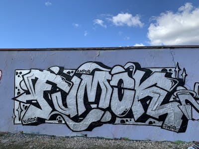 Chrome Stylewriting by Fumok. This Graffiti is located in Dessau, Germany and was created in 2021. This Graffiti can be described as Stylewriting and Wall of Fame.