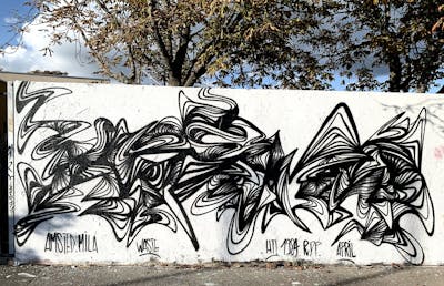 White and Black Stylewriting by Amsted. This Graffiti is located in Paris, French Southern Territories and was created in 2022. This Graffiti can be described as Stylewriting and Wall of Fame.