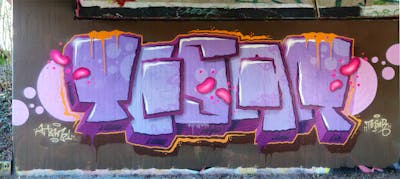 Violet Stylewriting by HAMPI and TESAR. This Graffiti is located in MÜNSTER, Germany and was created in 2023. This Graffiti can be described as Stylewriting and Wall of Fame.