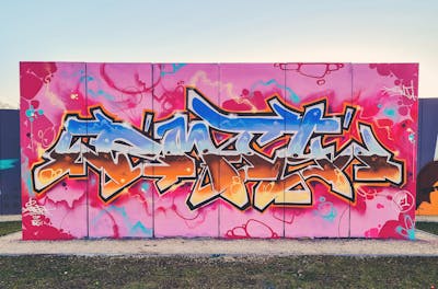 Coralle and Colorful Stylewriting by Emty. This Graffiti is located in Wiesbaden, Germany and was created in 2021. This Graffiti can be described as Stylewriting and Wall of Fame.