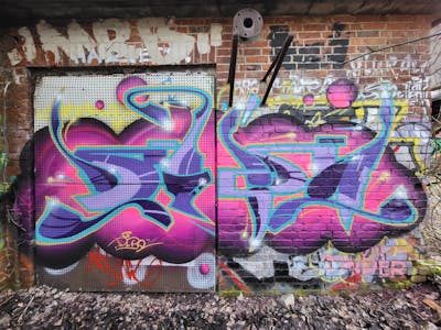 Violet and Coralle Stylewriting by Dipa. This Graffiti is located in Berlin, Germany and was created in 2024. This Graffiti can be described as Stylewriting and Abandoned.