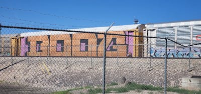Coralle and Brown and Black Stylewriting by Boog. This Graffiti is located in United States and was created in 2023. This Graffiti can be described as Stylewriting, Trains, Freights and Wholecars.