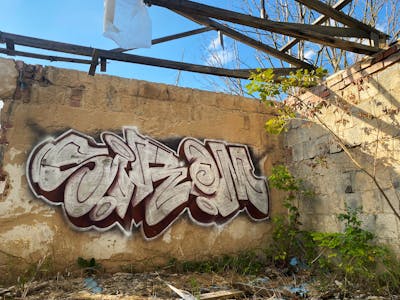Chrome and Brown Stylewriting by Sirom. This Graffiti is located in Döbeln, Germany and was created in 2022. This Graffiti can be described as Stylewriting, Abandoned and Atmosphere.