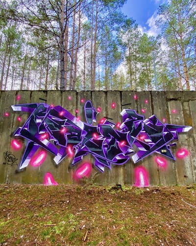 Violet and Coralle and Black Stylewriting by Raitz. This Graffiti is located in Germany and was created in 2023. This Graffiti can be described as Stylewriting, Abandoned and Atmosphere.