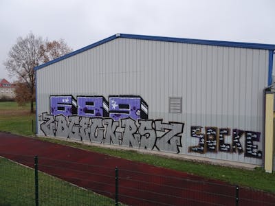 Chrome and Violet and Black Stylewriting by 689, 689ers, ZBG, ECK, RSZ and Socke. This Graffiti is located in Radebeul, Germany and was created in 2022. This Graffiti can be described as Stylewriting and Street Bombing.