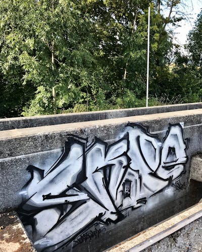 Black and White Stylewriting by SKOPE. This Graffiti is located in Switzerland and was created in 2021. This Graffiti can be described as Stylewriting and Street Bombing.