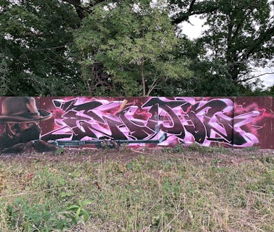Colorful Special by AIDN and Nuke. This Graffiti is located in Döbeln, Germany and was created in 2021. This Graffiti can be described as Special, Characters and Stylewriting.