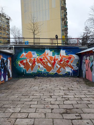 Orange and Grey Stylewriting by Fems173. This Graffiti is located in lublin, Poland and was created in 2022. This Graffiti can be described as Stylewriting and Wall of Fame.