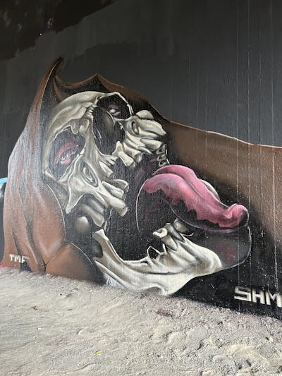 Grey and Brown Characters by shmri. This Graffiti is located in Leipzig, Germany and was created in 2023. This Graffiti can be described as Characters and Wall of Fame.