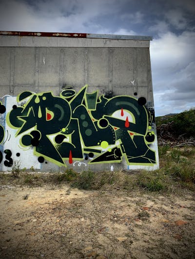 Black and Light Green Stylewriting by Polizei, 193, qst and eds. This Graffiti is located in Cape Town, South Africa and was created in 2021.