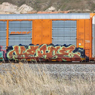 Brown and Light Green and Black Stylewriting by Kerse. This Graffiti is located in United States and was created in 2022. This Graffiti can be described as Stylewriting, Trains and Freights.