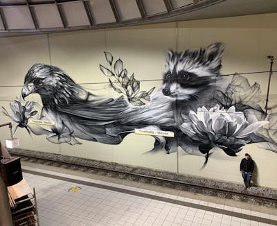 Grey Special by Bacon. This Graffiti is located in Frankfurt, Germany and was created in 2020. This Graffiti can be described as Special, Murals and Characters.
