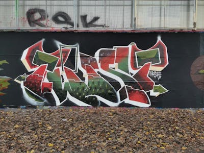 Green and Red Stylewriting by seka and twist. This Graffiti is located in Erfurt, Germany and was created in 2021. This Graffiti can be described as Stylewriting and Wall of Fame.