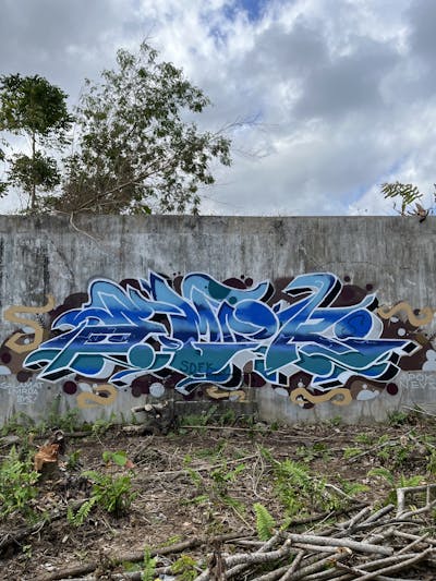 Cyan and Light Blue Stylewriting by Amok. This Graffiti is located in Victorias City, Philippines and was created in 2024. This Graffiti can be described as Stylewriting and Abandoned.