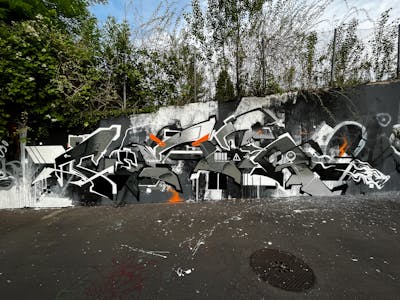 Grey Stylewriting by Moseg and omseg. This Graffiti is located in Basel, Germany and was created in 2022. This Graffiti can be described as Stylewriting and Wall of Fame.