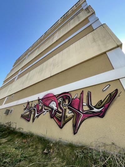 Coralle and White Stylewriting by Truk. This Graffiti is located in France and was created in 2022. This Graffiti can be described as Stylewriting and Abandoned.