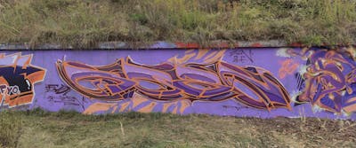 Violet Stylewriting by Resn, WZN, ZDC and crews: FYO. This Graffiti is located in Głogów, Poland and was created in 2021.
