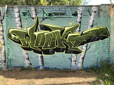 Green and Light Green Stylewriting by WOOKY. This Graffiti is located in Halle/Saale, Germany and was created in 2020. This Graffiti can be described as Stylewriting and Wall of Fame.