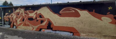 Brown and Gold Stylewriting by ZIRCE. This Graffiti is located in Zwickau, Germany and was created in 2022. This Graffiti can be described as Stylewriting and Wall of Fame.