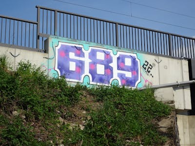 White and Violet and Cyan Stylewriting by 689 and 689ers. This Graffiti is located in coswig, Germany and was created in 2022. This Graffiti can be described as Stylewriting and Street Bombing.