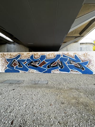 Blue and Brown Stylewriting by News. This Graffiti is located in Regensburg, Germany and was created in 2022.