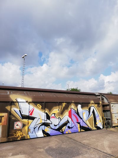 Light Blue and Beige and Violet Stylewriting by Roweo, mtl crew and TESAR. This Graffiti is located in Saalfeld (Saale), Germany and was created in 2022. This Graffiti can be described as Stylewriting, Trains and Freights.