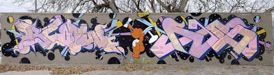 Coralle and Colorful Stylewriting by OneBlow, TBT crew and Does423. This Graffiti is located in Brindisi, Italy and was created in 2021. This Graffiti can be described as Stylewriting, Characters and Wall of Fame.