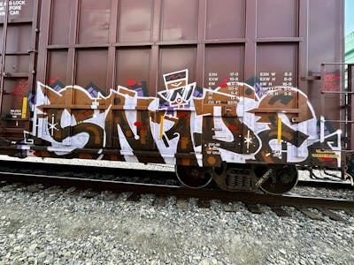 Brown and White Stylewriting by Snipe. This Graffiti is located in Ausin texas, United States and was created in 2021. This Graffiti can be described as Stylewriting, Trains and Freights.