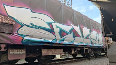 Cyan and Coralle and White Trains by 7AM. This Graffiti is located in Novi Sad, Serbia and was created in 2022. This Graffiti can be described as Trains, Stylewriting and Freights.