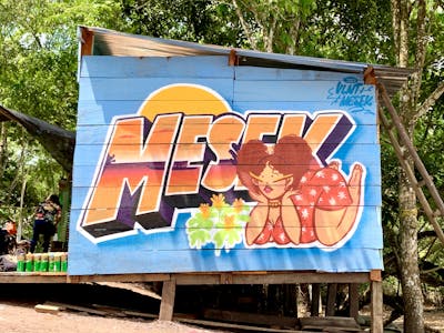 Light Blue and Orange Stylewriting by Mesek and Violenta. This Graffiti is located in Cali, Colombia and was created in 2023. This Graffiti can be described as Stylewriting and Characters.
